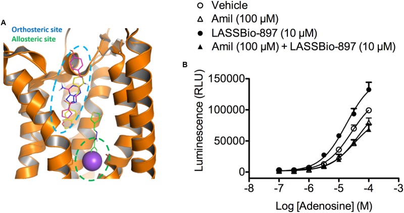 FIGURE 11