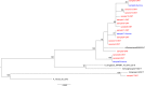 FIG 5