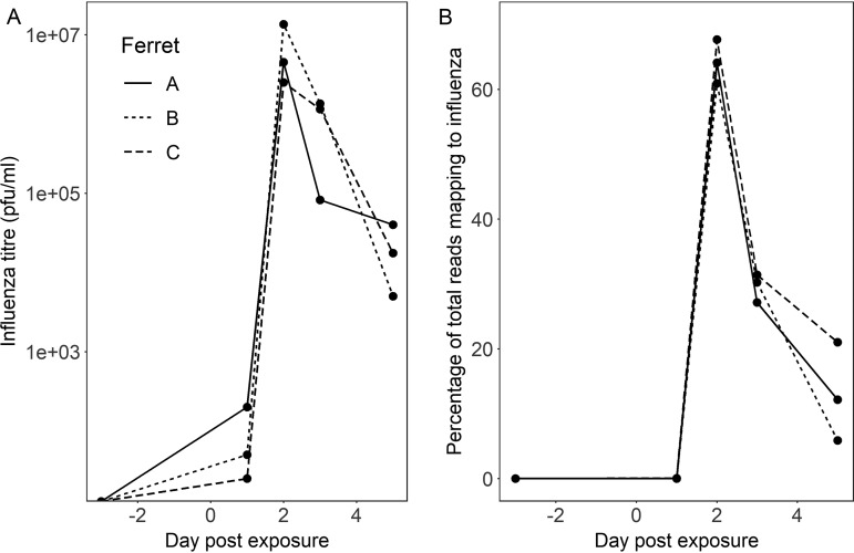 FIG 6