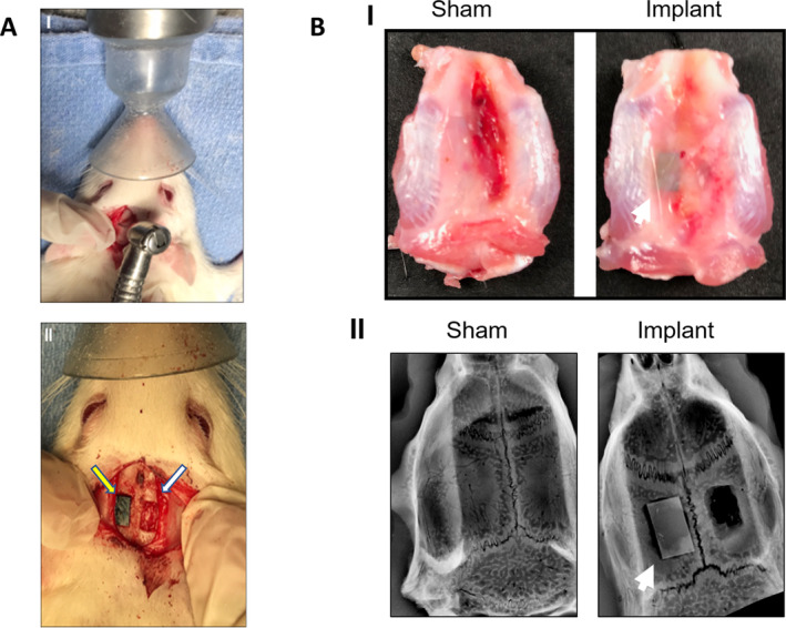 Fig 6