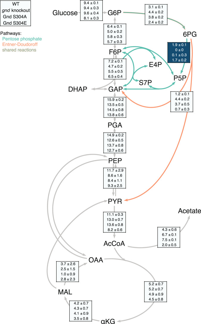 Fig. 4