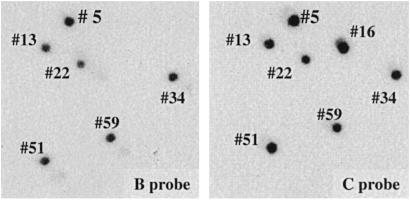 Fig 3.