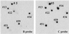 Fig 3.