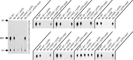 Fig. 3.