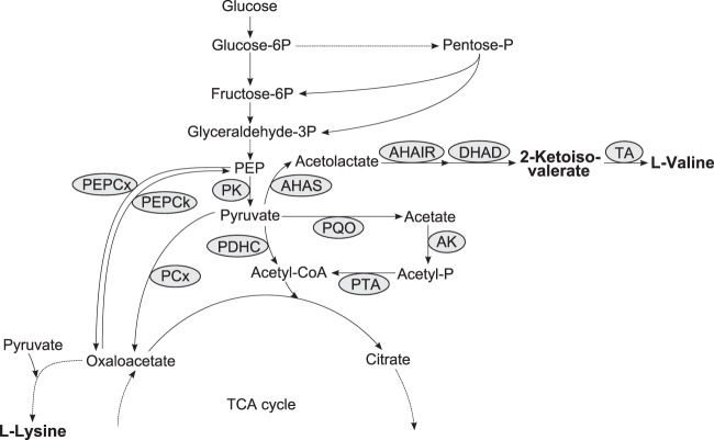 Fig 1