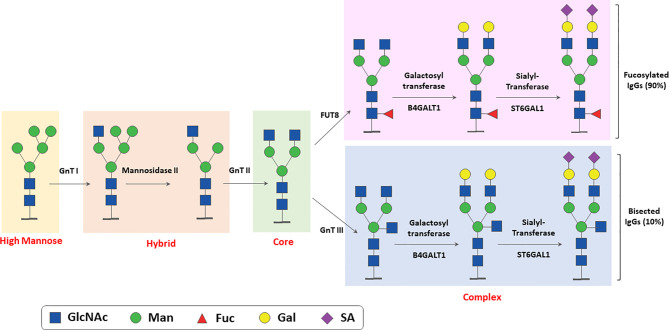 Figure 2