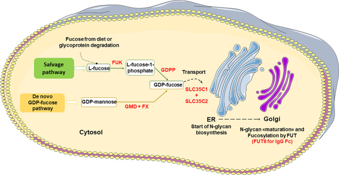 Figure 3