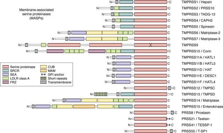 Figure 2