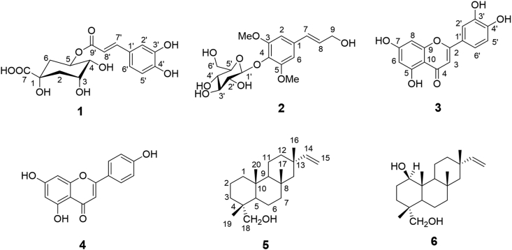 Figure 1