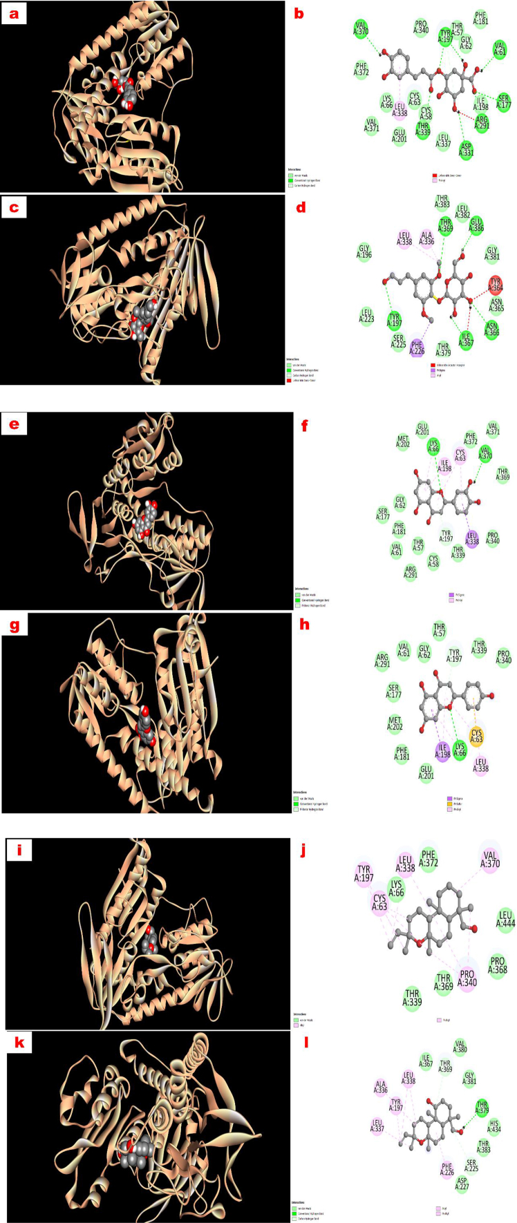 Figure 4