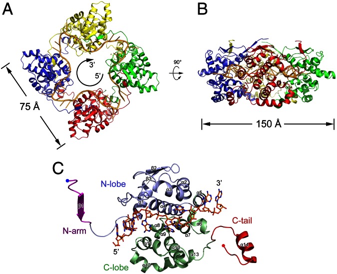 Fig. 3.