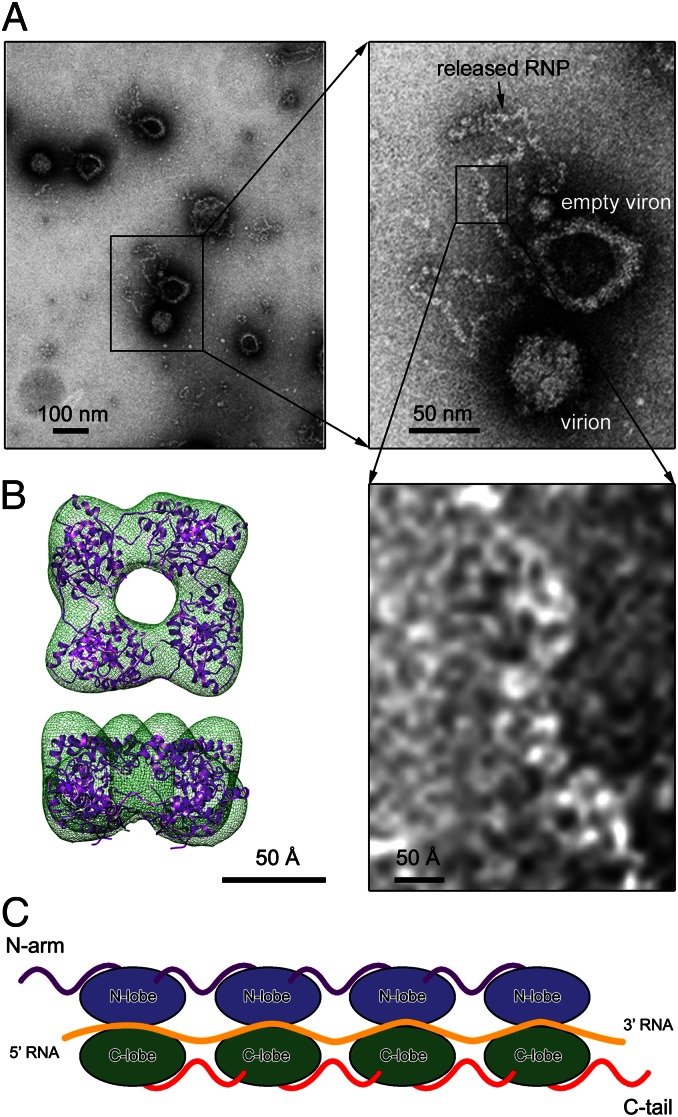 Fig. 6.