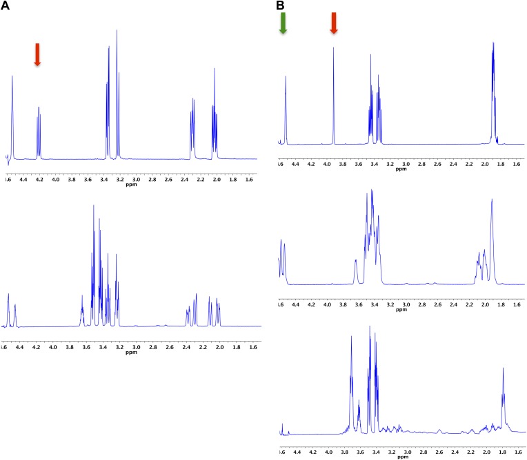 Figure 9.