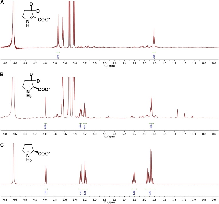 Figure 10.