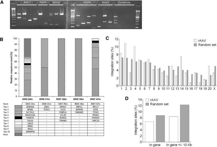 Figure 4