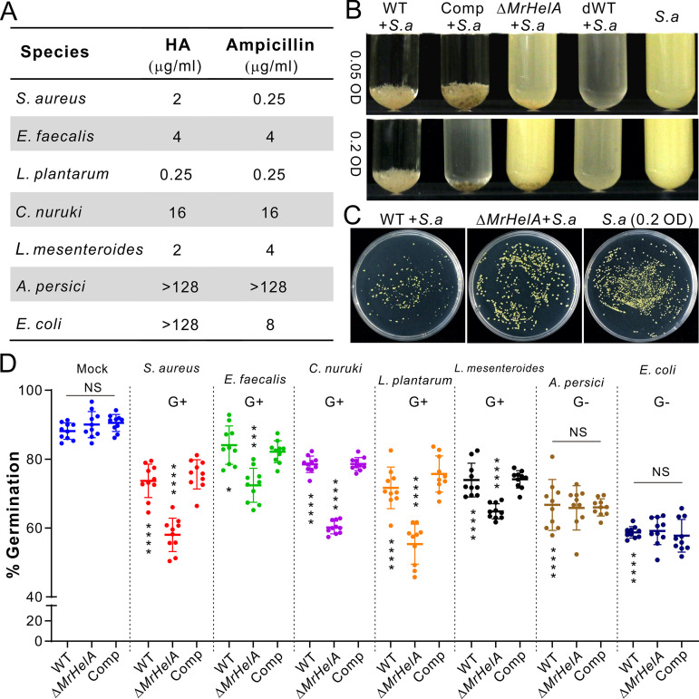 FIG 3