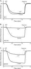 FIGURE 9.
