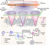 Fig. 1.