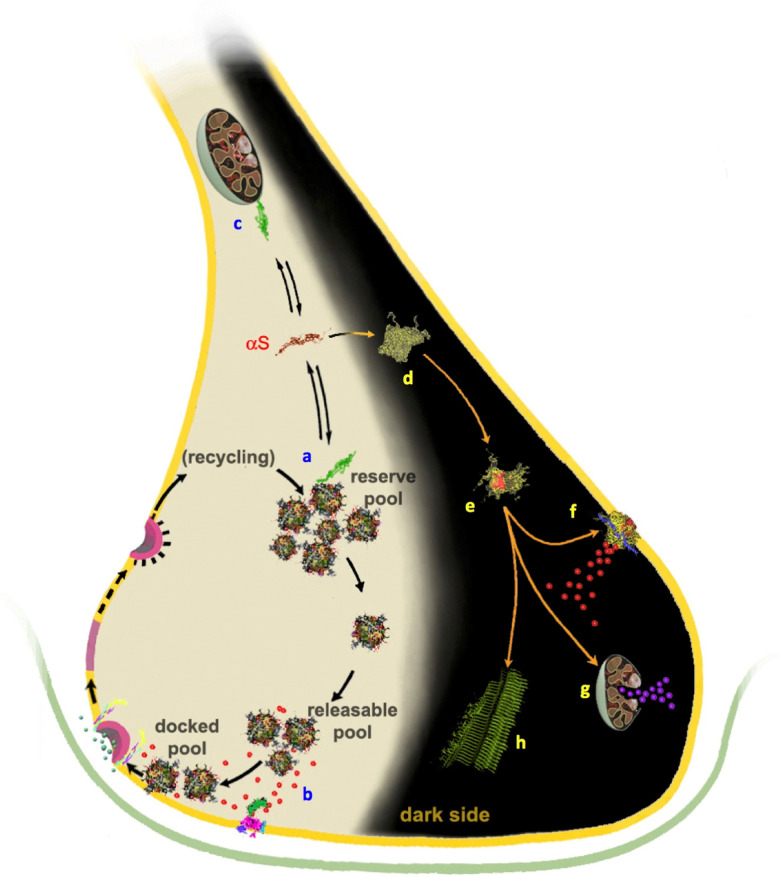 Fig. 1