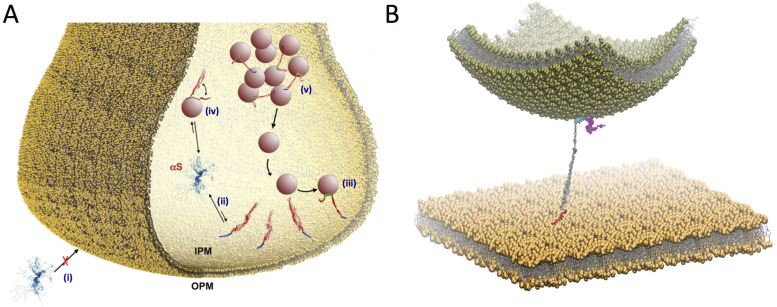 Fig. 4