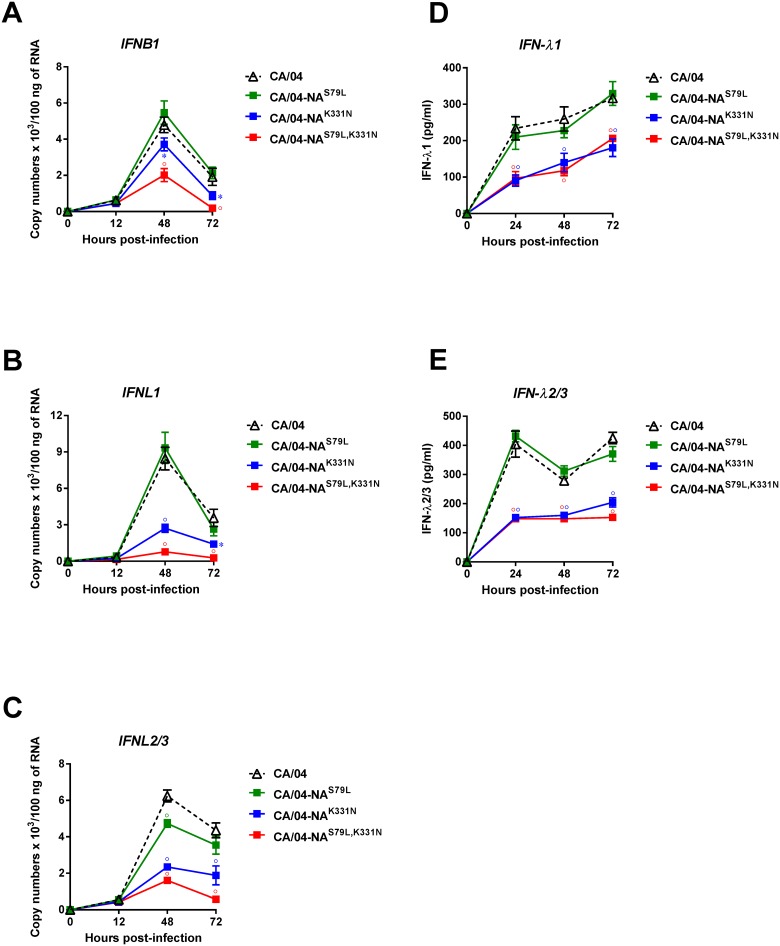 Fig 6