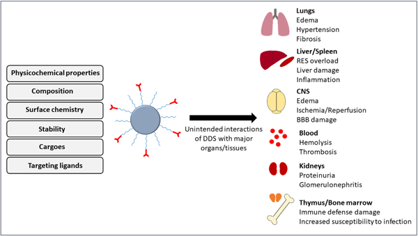 graphic file with name nihms-1513171-f0001.jpg