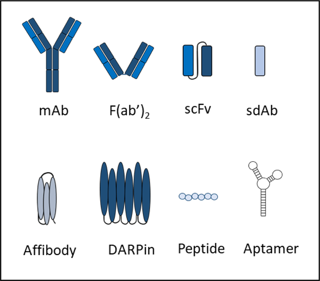 Fig. 9