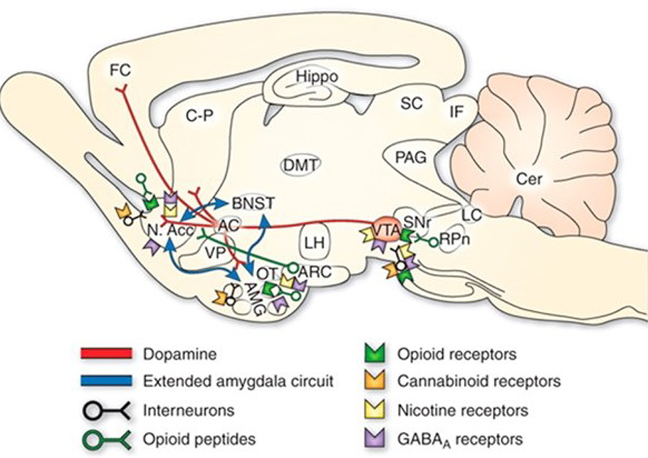 Figure 2: