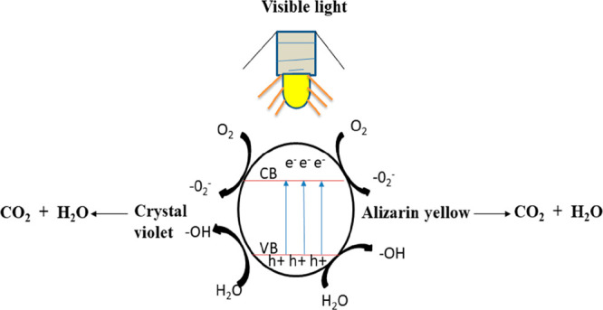 Figure 10