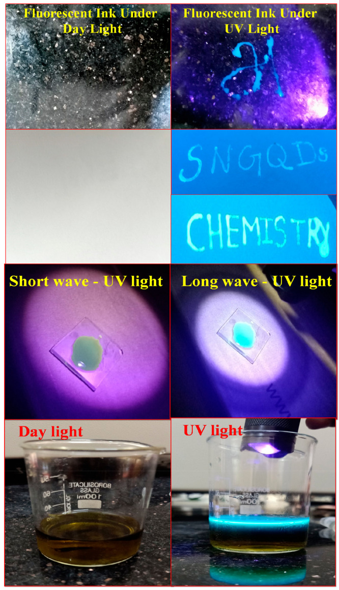 Figure 11