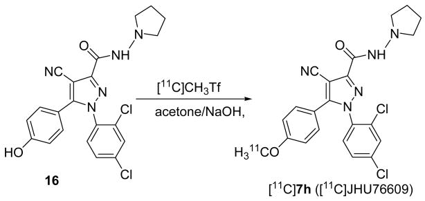 Scheme 4