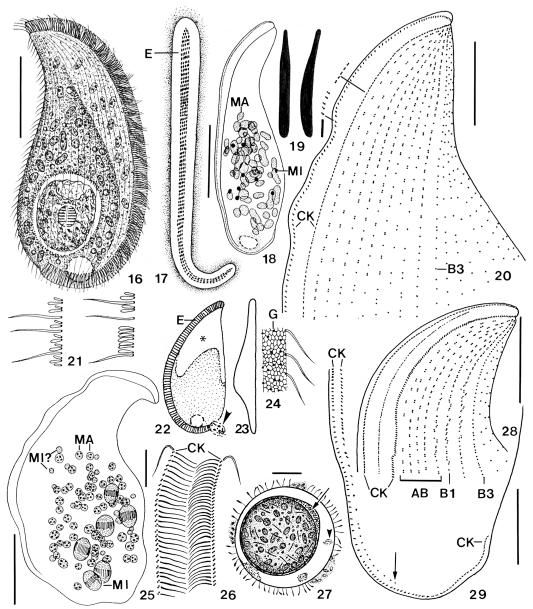 Figs 16-29