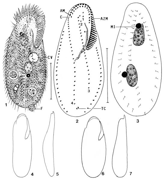 Figs 1-7