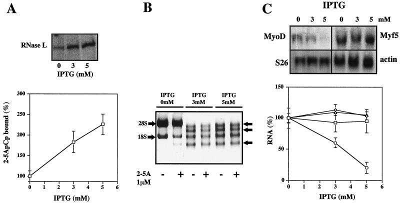 FIG. 10