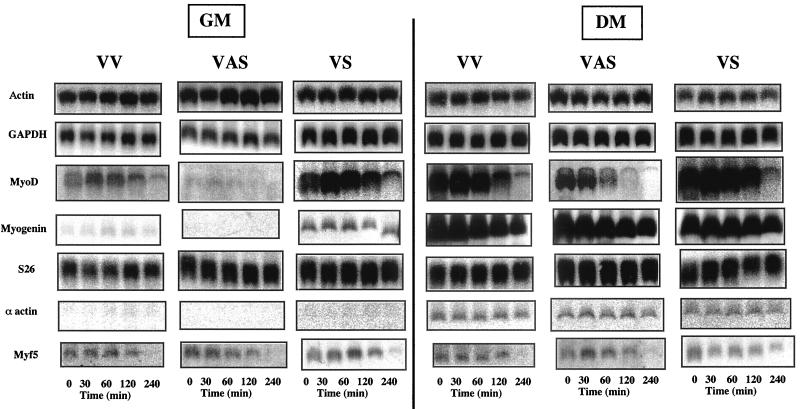 FIG. 7