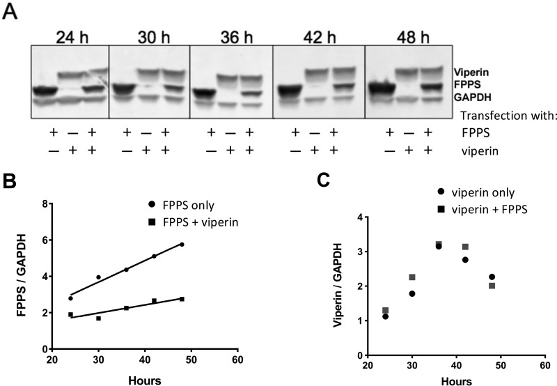 FIGURE 3.