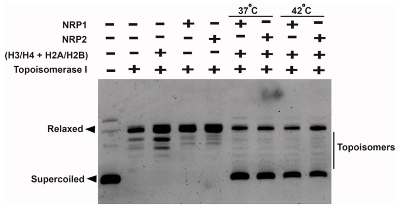 Figure 10