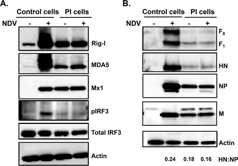 FIG 3