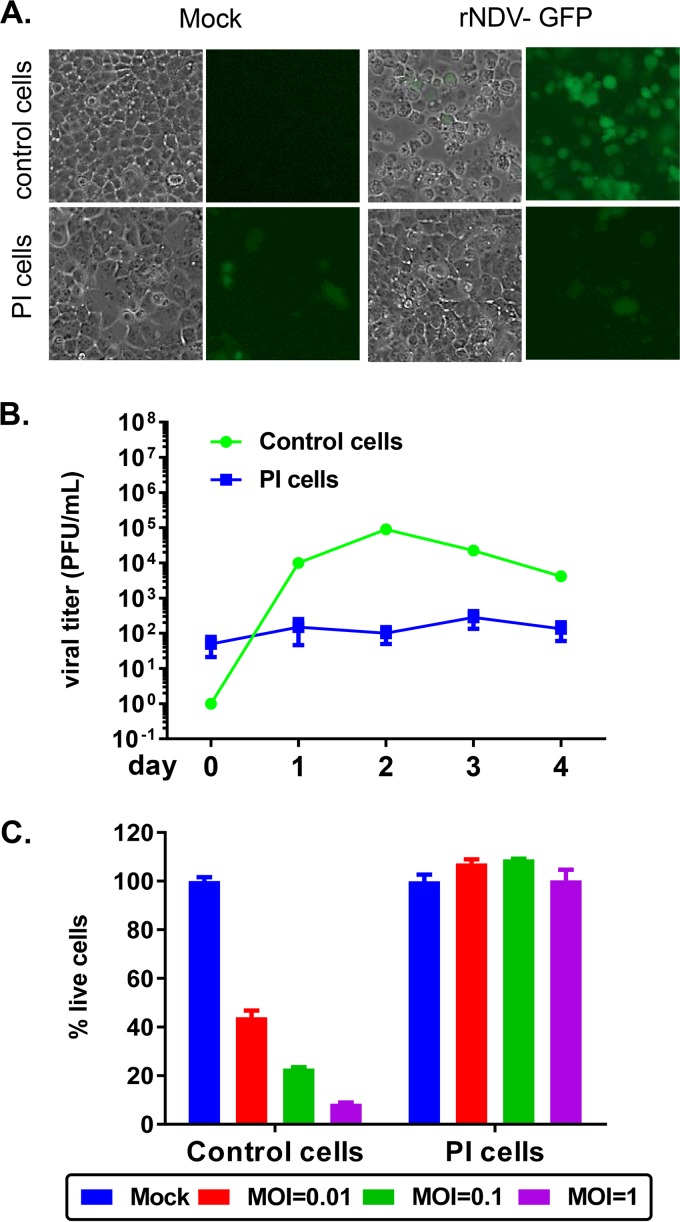 FIG 1