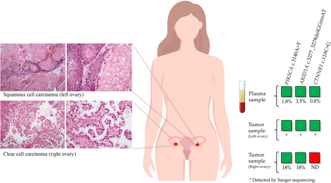 Figure 4