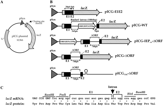 Figure 1.