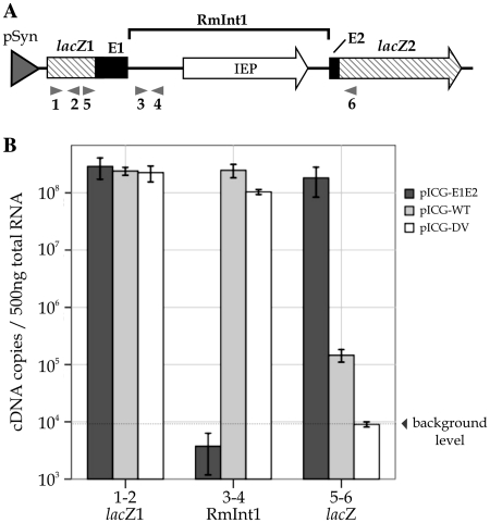 Figure 4.