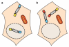 Fig. 2