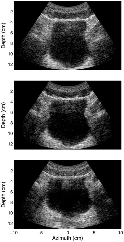 Fig. 7