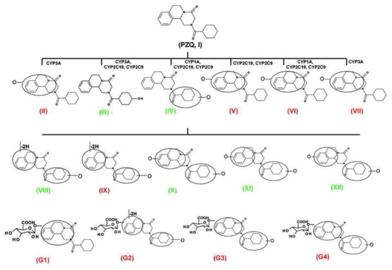 Figure 9