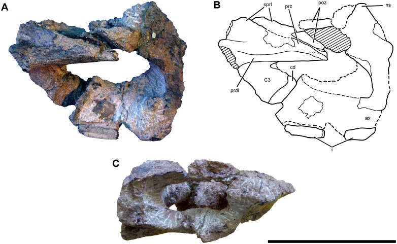 Fig 24