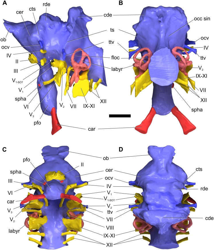 Fig 9