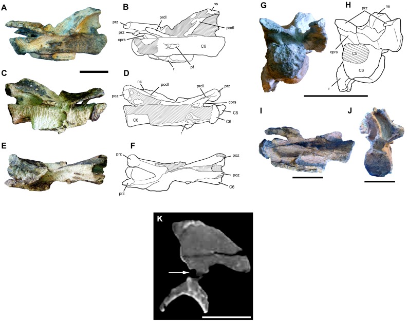 Fig 25