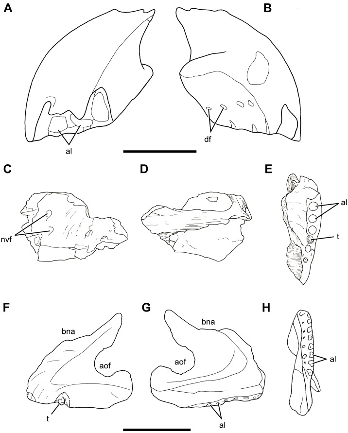 Fig 31