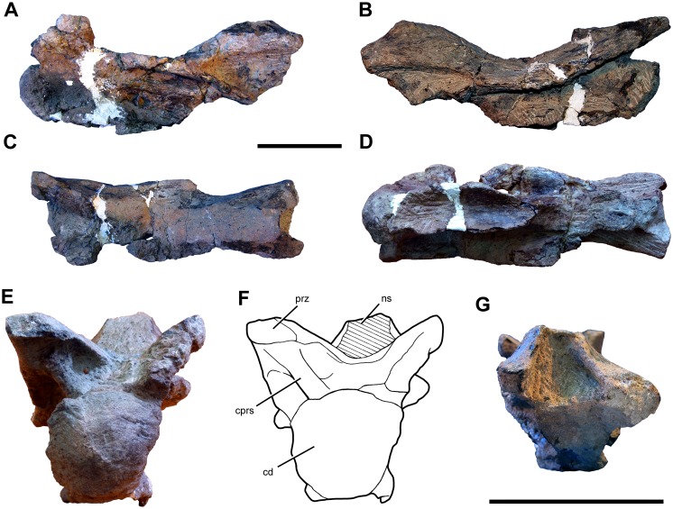 Fig 26